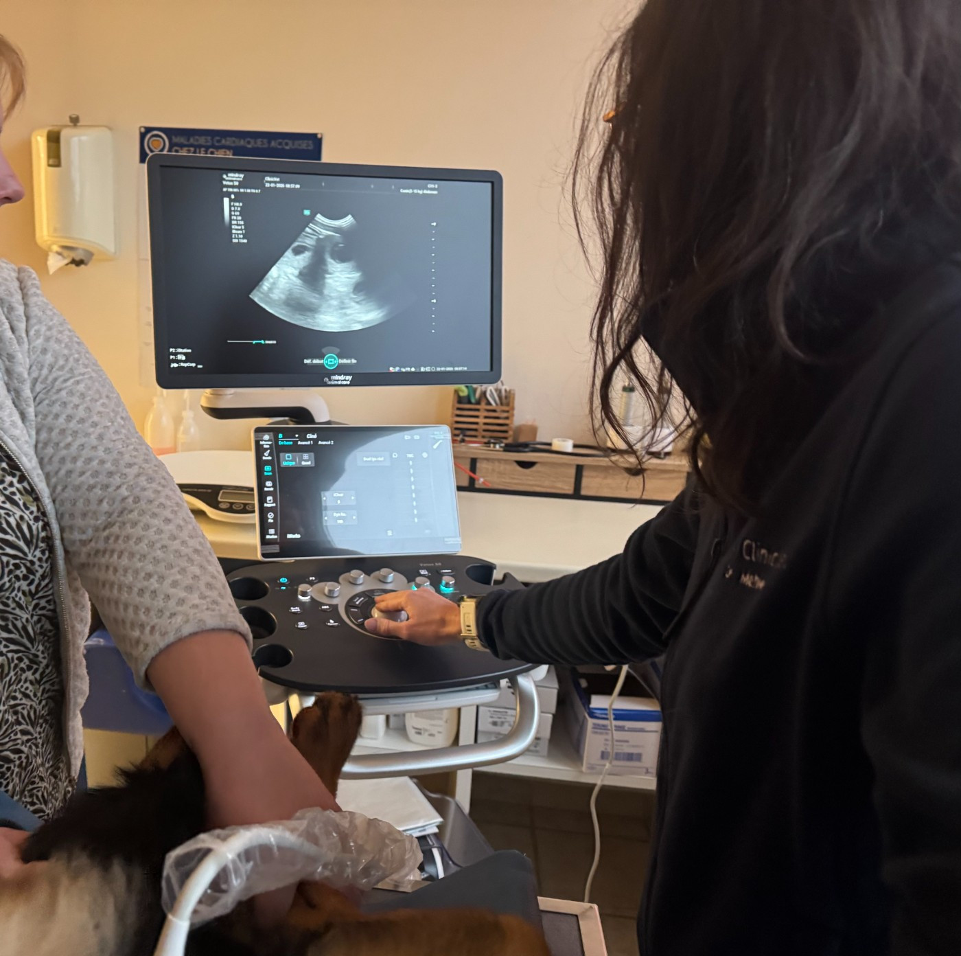 Gestation confirmée pour Up des Feux de Beltaine et pour Tabatha du Mas Roc Maria