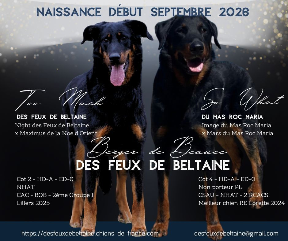 🐾 Une belle nouvelle à partager ! 🐾