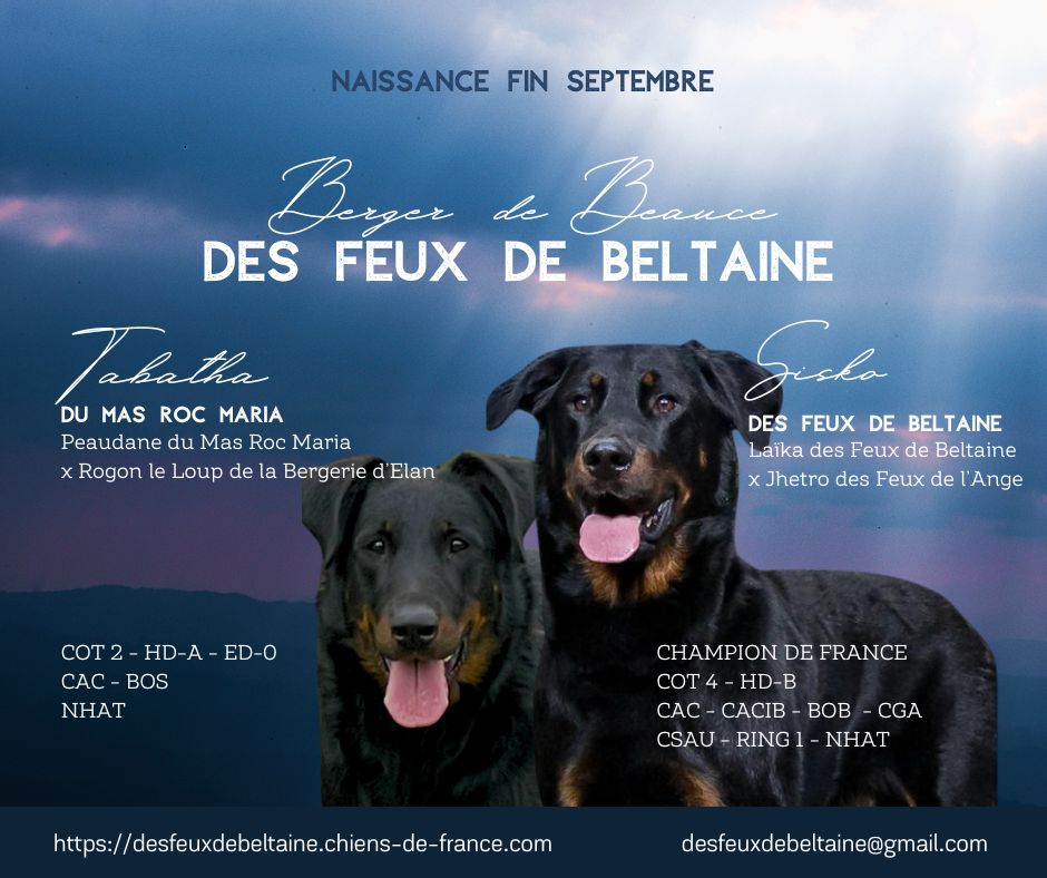Des Feux De Beltaine - Mariage Tabatha - Sisko