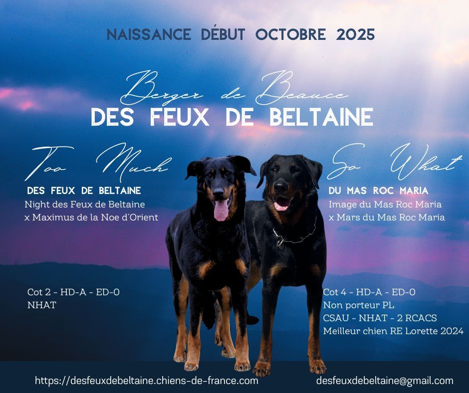 Bébés attendus début octobre 2025 !